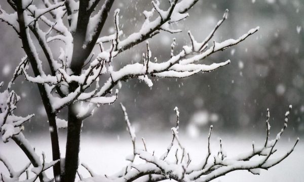 GERÇEK KIŞA HAZIR OLUN, METEOROLOGLAR KAR KONUSUNDA UYARDI