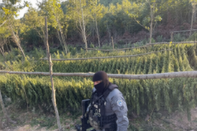 polis- operasyonu- uyusturucu