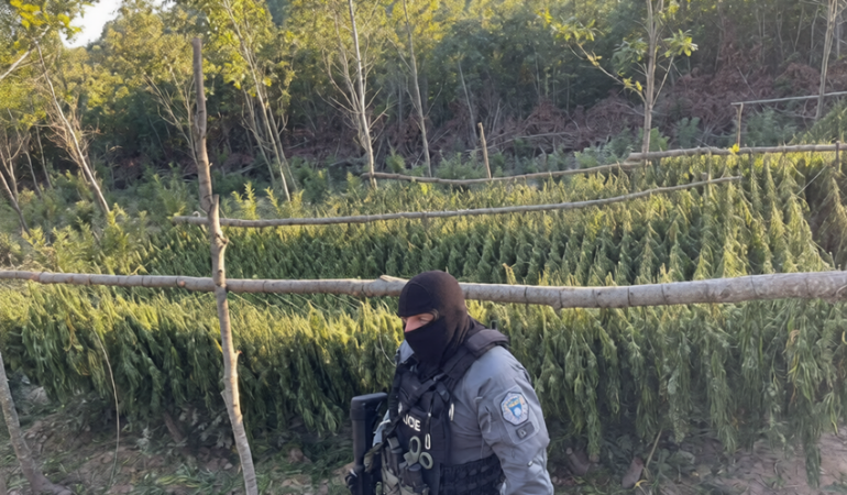 polis- operasyonu- uyusturucu