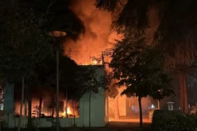 tiran- protestolar