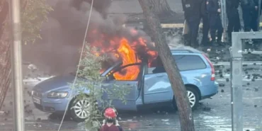 tiran- protestolar